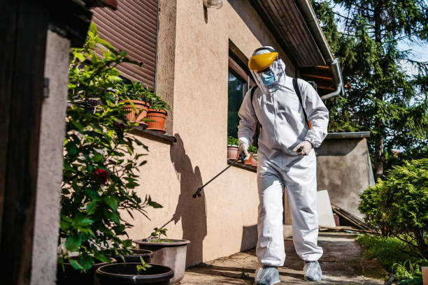 Bird Control in Waverly, NY
