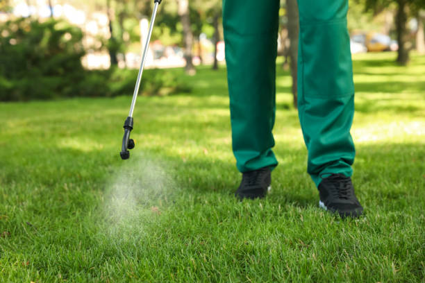 Best Pest Control Treatment  in Waverly, NY
