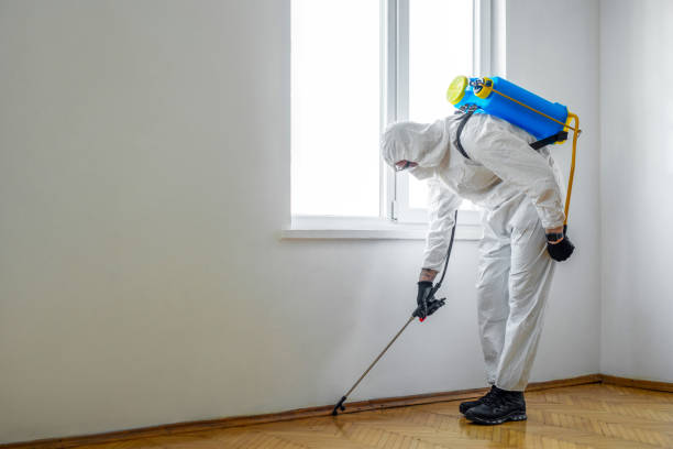 Pest Prevention Services in Waverly, NY