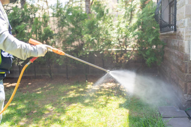 Best Pest Prevention Services  in Waverly, NY