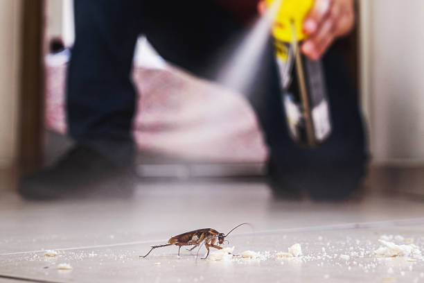 Best Mosquito Control Services  in Waverly, NY