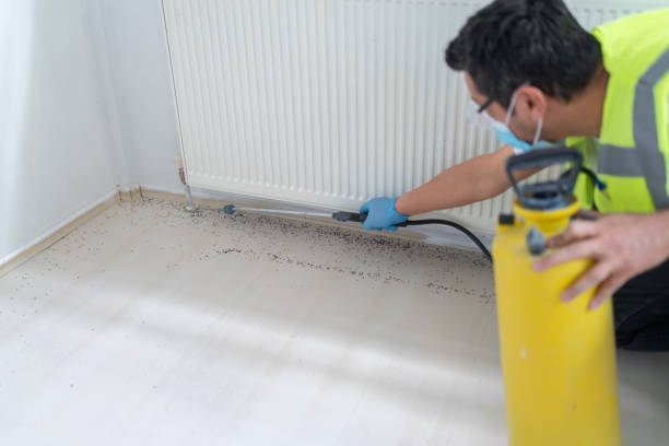 Best Best Pest Control Companies  in Waverly, NY